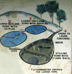 Wetland diagram